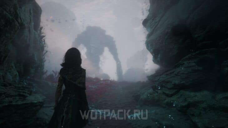 Большой бутонье у обрыва