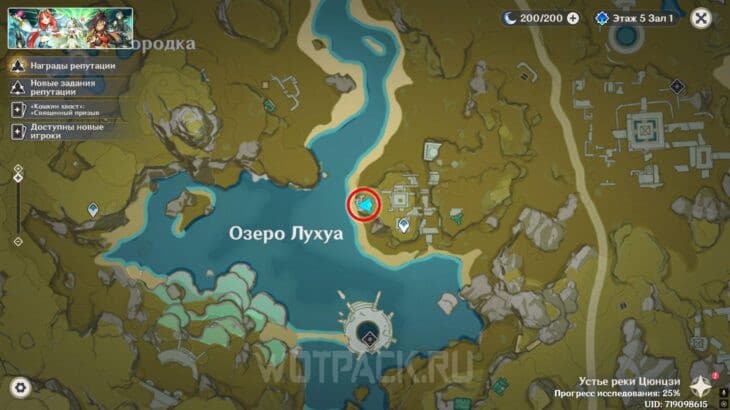 Начало диалога с Вермеером для получения достижения на карте