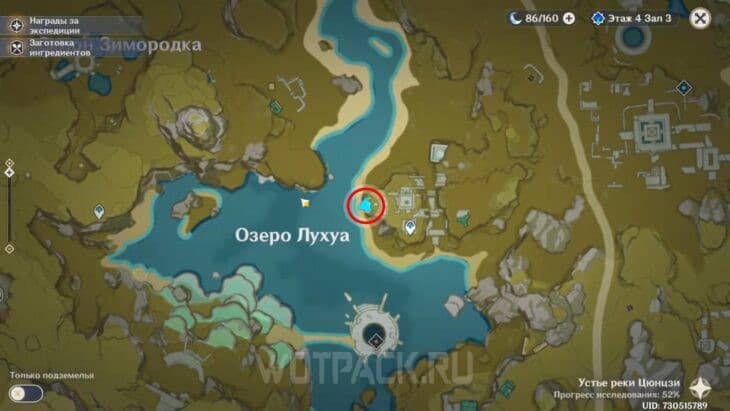 Расположение на карте кисти Вермеера