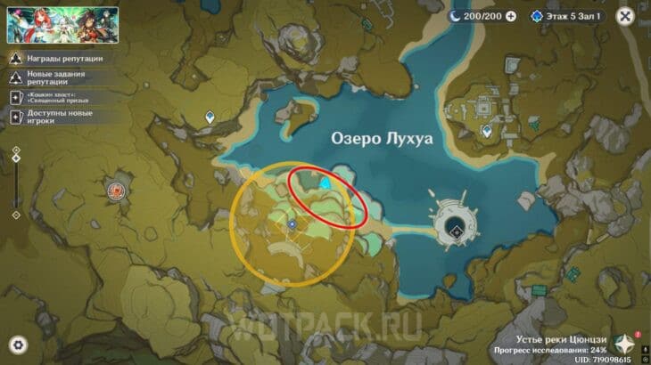 Расположение странного камня на карте