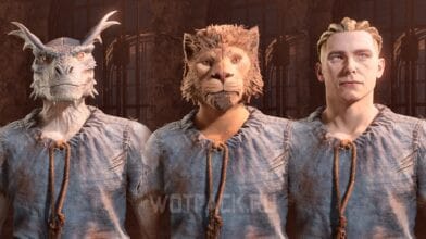 Лучшая раса в The Elder Scrolls IV Oblivion Remastered: какую выбрать