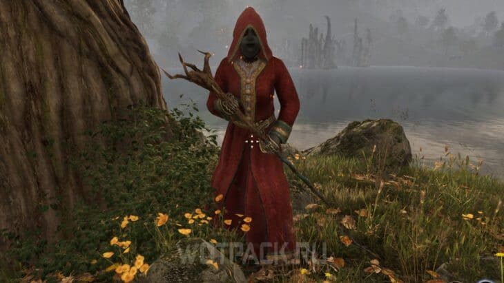 Лучшие билды в The Elder Scrolls IV Oblivion Remastered для всех архетипов