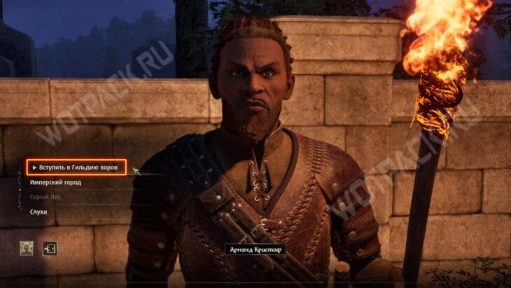 Гильдия воров в Oblivion Remastered: как вступить и где находится