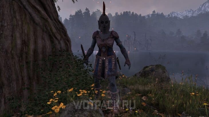 Лучшие билды в The Elder Scrolls IV Oblivion Remastered для всех архетипов
