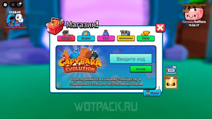Куда вводить коды в Capybara Evolution