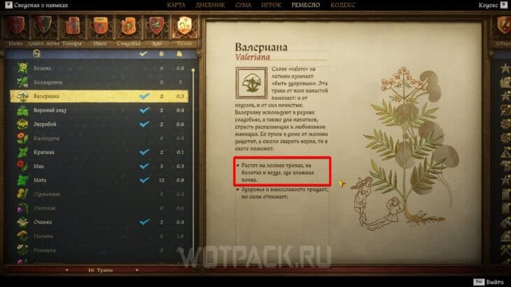 Информация, где искать валериану