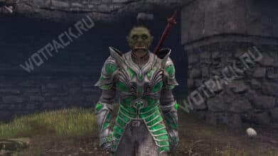 Охотники и дичь в Oblivion Remastered: как исправить баг и пройти
