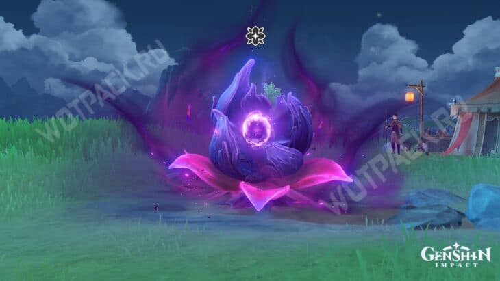 Цветок запуска Мрачного натиска на поляне