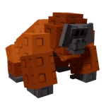 Orangutan