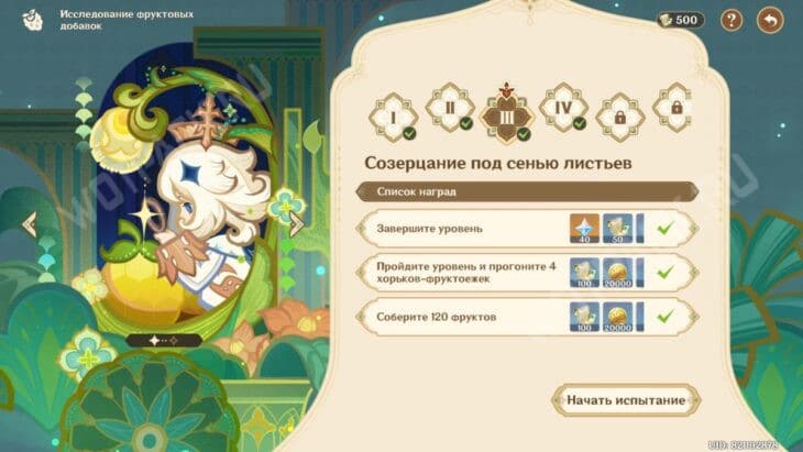Этап "Созерцание под тенью листьев"