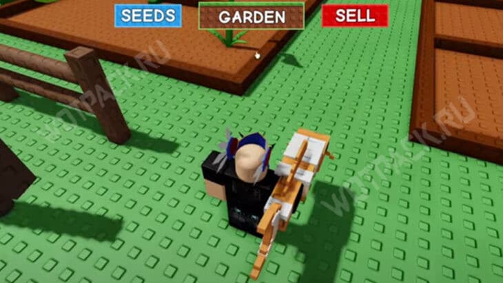 Кои в Вырасти сад (Grow a Garden): что делает и как получить