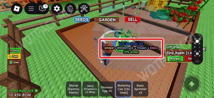 Обновление Стадии семян в Вырасти сад (Grow a Garden): как прокачать Evo-растения