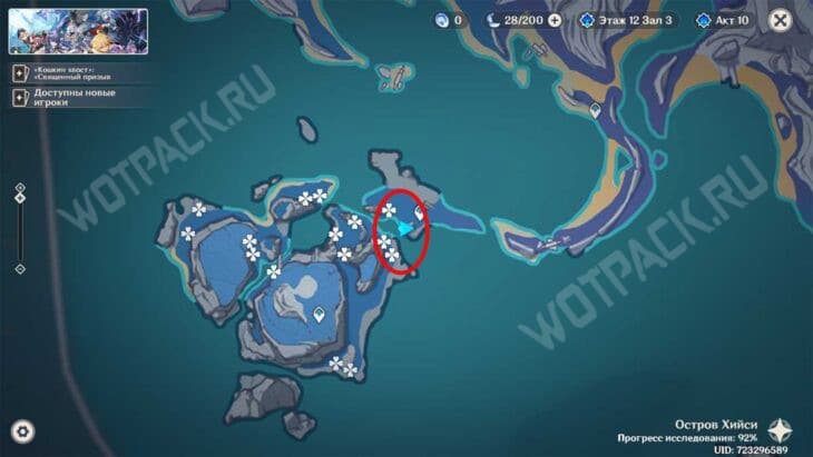 Ночноцвет в Genshin Impact: где найти и у кого купить