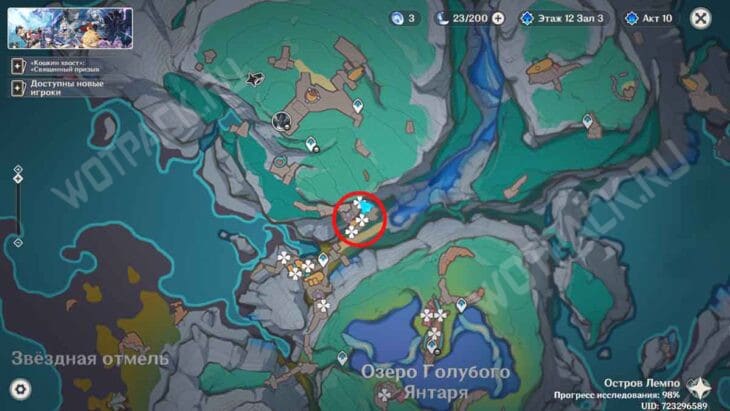 Переносные подшипники в Genshin Impact: где найти и у кого купить диковинку
