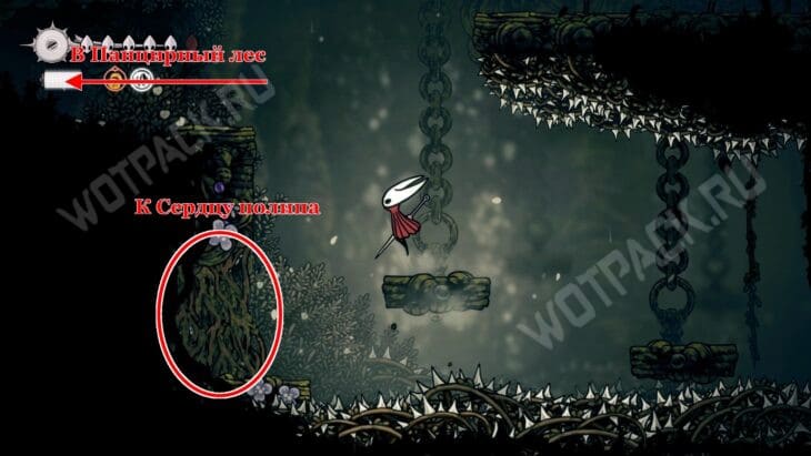 Прохождение Hollow Knight Silksong: гайд по всем локациям и актам