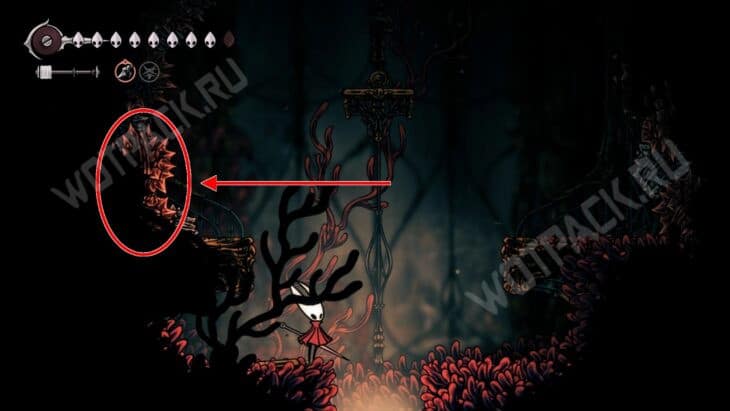 Прохождение Hollow Knight Silksong: гайд по всем локациям и актам