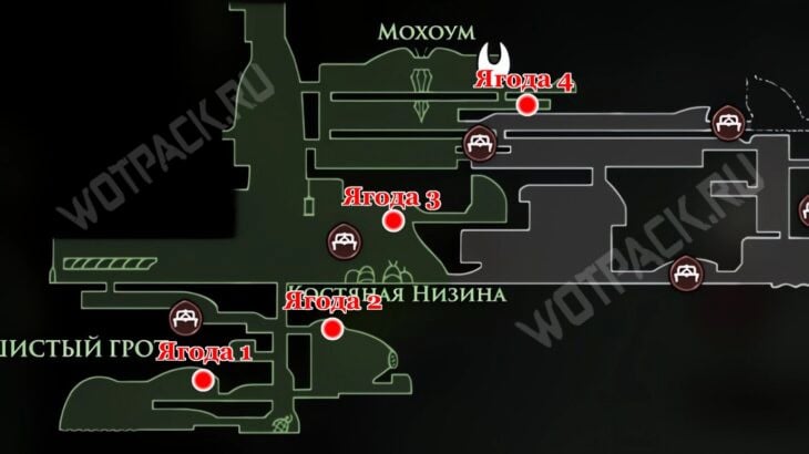 Карта мшистых ягод