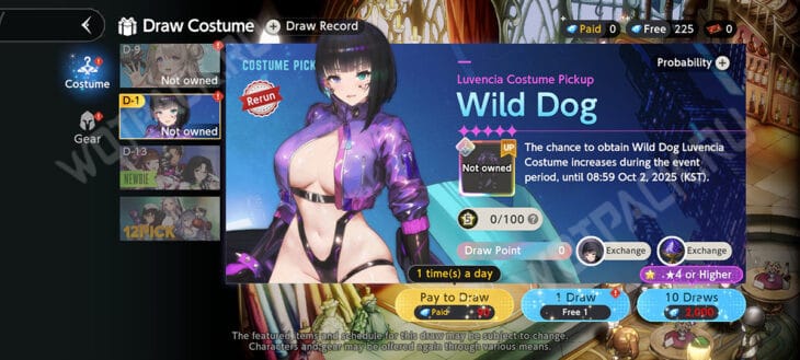 Баннер Wild dog