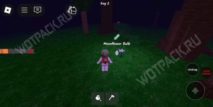 Обновление с Хэллоуином в 99 ночей в лесу: что делать в ивенте