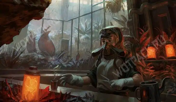 Лучшие билды в The Outer Worlds 2: выбор качеств, навыков и способностей