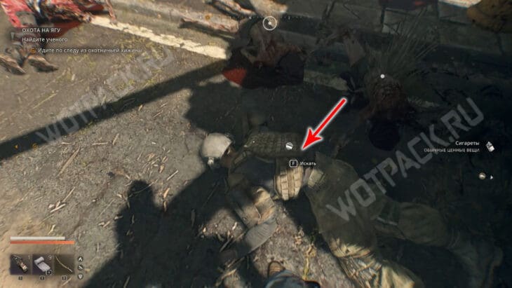 Обыск тела с пропуском