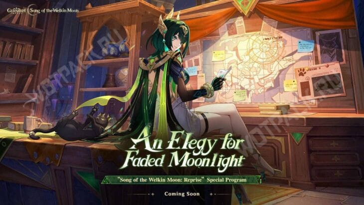 Нефер сидит с кошкой