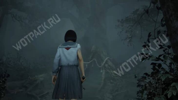 Хинако перед священным кедром