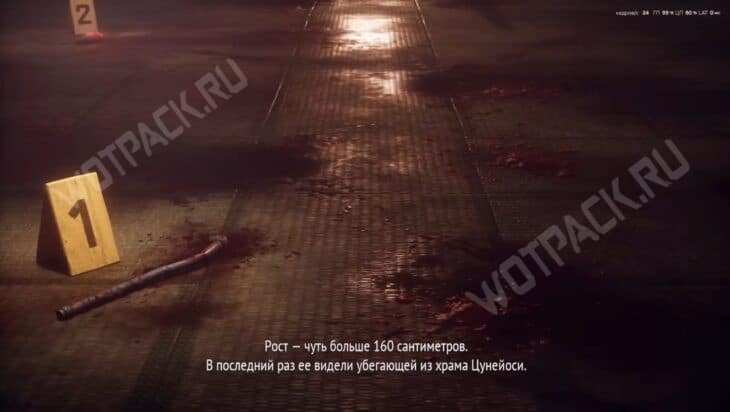 Кадр с места преступления Хинако