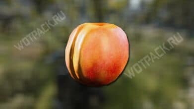 Где найти Абрикосы в ARC Raiders: все места сбора