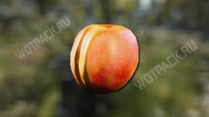 Абрикос на фоне абрикосового дерева