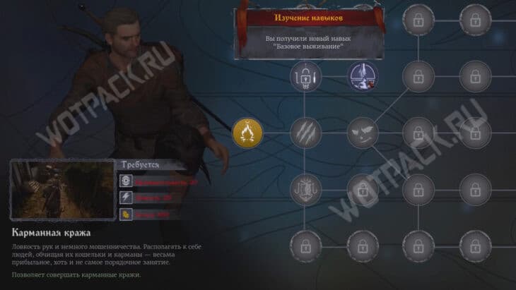 Описание навыка Карманная кража