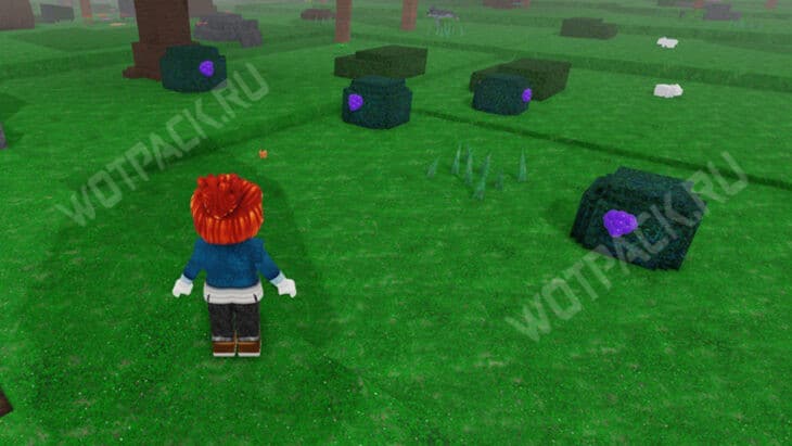 Кусты с ягодами