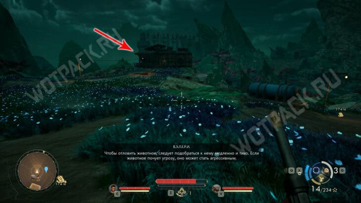 Жилище редактора на Райском острове