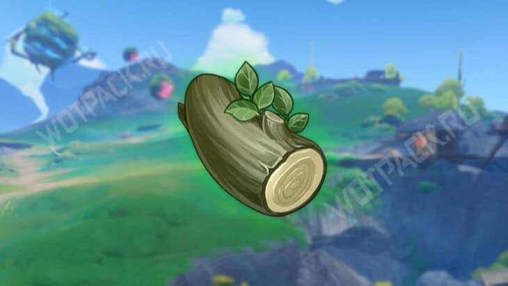 Бревно на фоне пустоши