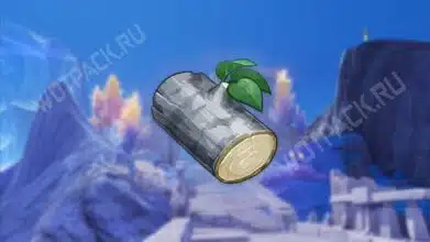 Древесина серебряной пихты в Genshin Impact: где найти и для чего пригодится