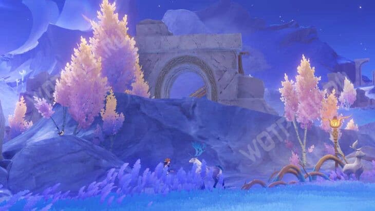 Красная пихта