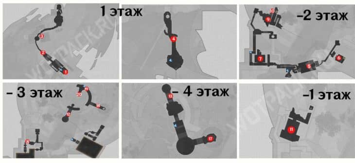 общая карта с расположением насекомых