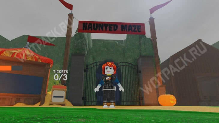 Игрок стоит перед входом в лабиринт