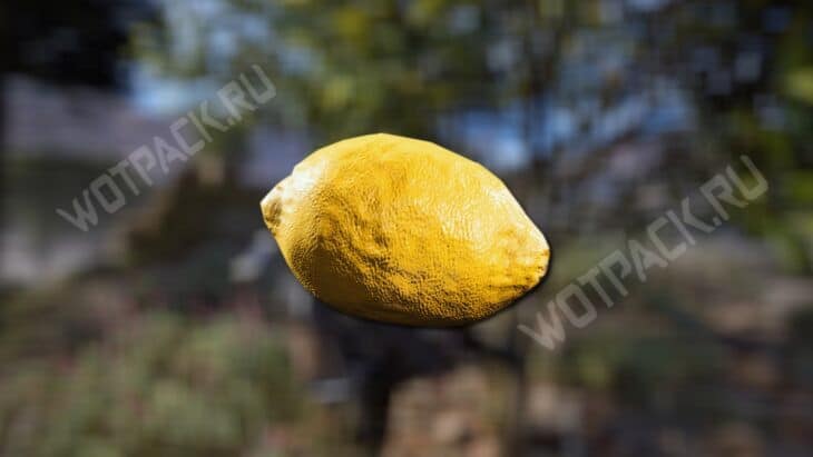 Лимон на фоне деревьев