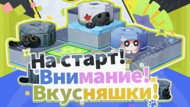 На старт! Внимание! Вкусняшки! в Honkai Star Rail: как пройти все поля