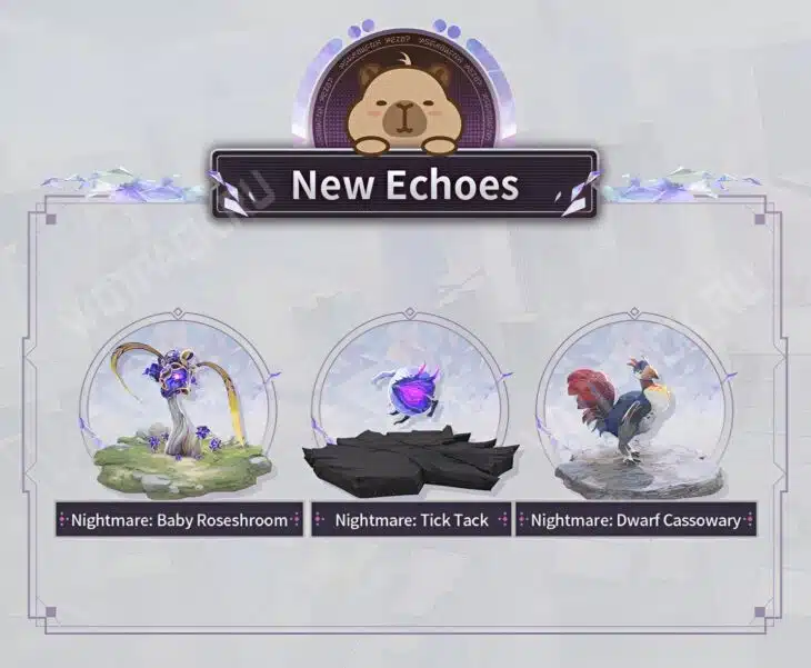 Обновление Wuthering Waves 2.8: дата выхода, баннеры, персонажи и события