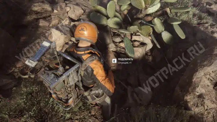 Рейдер перед кактусом с опунцией