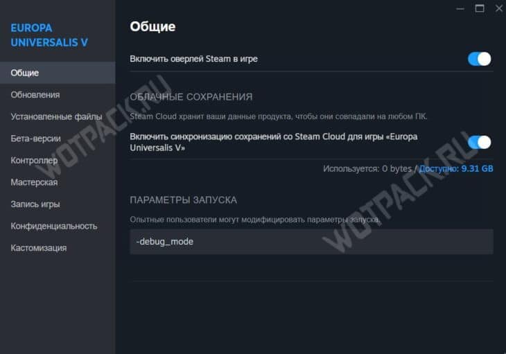 параметры запуска игры в Стим для открытия консоли