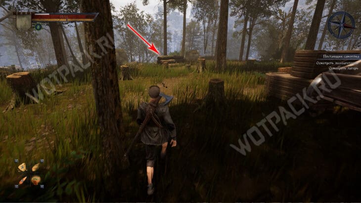 Первая улика за лесозаготовкой