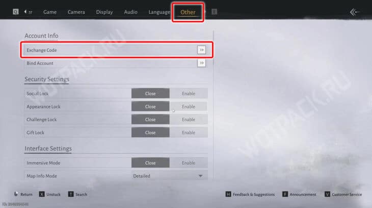 Вкладка другое в настройках игры со строкой ввода подарочного купона