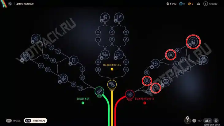 Лучшие билды в ARC Raiders: как навыки выбрать