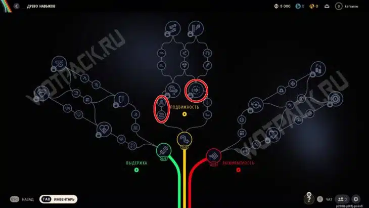 Лучшие скиллы из ветки Подвижности