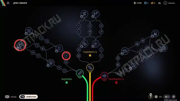 Лучшие способности Выдержки