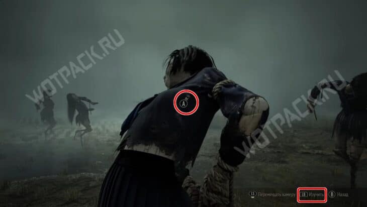 Пугала на рисовом поле