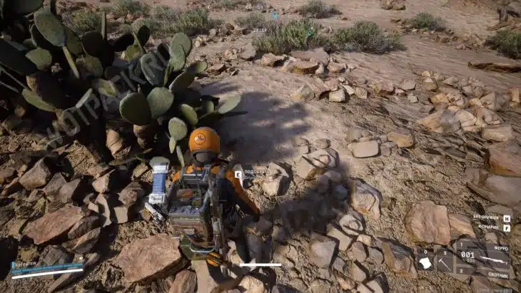 Опунция рядом с кактусом в космопорте